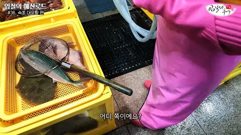 관광지 수산시장에서 _대게 먹고 가라_해서 믿고 맡겼더니(입질의 해산로드 #.36 속초 대포항 편)_20260922_210220.651.jpg
