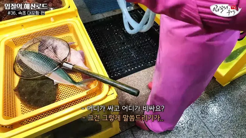 관광지 수산시장에서 _대게 먹고 가라_해서 믿고 맡겼더니(입질의 해산로드 #.36 속초 대포항 편)_20260922_210223.491.jpg