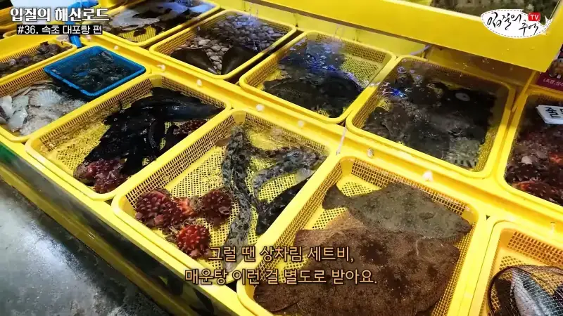 관광지 수산시장에서 _대게 먹고 가라_해서 믿고 맡겼더니(입질의 해산로드 #.36 속초 대포항 편)_20260922_210235.515.jpg