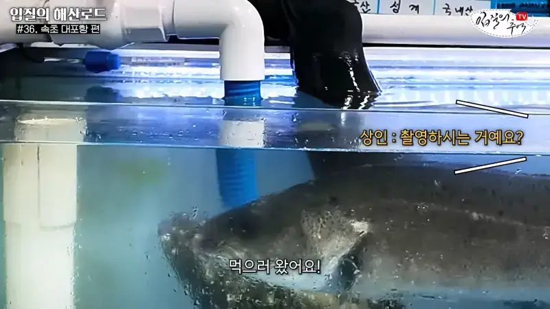관광지 수산시장에서 _대게 먹고 가라_해서 믿고 맡겼더니(입질의 해산로드 #.36 속초 대포항 편)_20260922_210055.733.jpg
