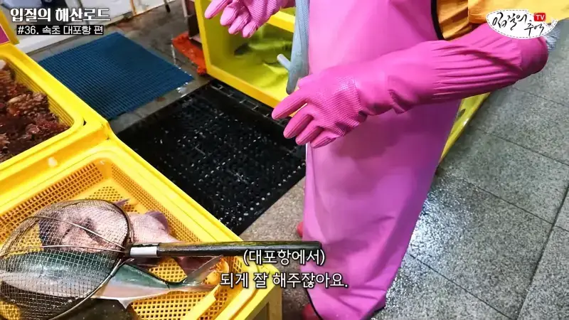 관광지 수산시장에서 _대게 먹고 가라_해서 믿고 맡겼더니(입질의 해산로드 #.36 속초 대포항 편)_20260922_210245.187.jpg