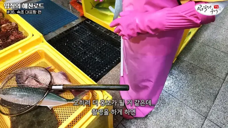 관광지 수산시장에서 _대게 먹고 가라_해서 믿고 맡겼더니(입질의 해산로드 #.36 속초 대포항 편)_20260922_210251.228.jpg