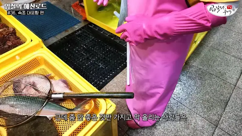 관광지 수산시장에서 _대게 먹고 가라_해서 믿고 맡겼더니(입질의 해산로드 #.36 속초 대포항 편)_20260922_210254.723.jpg
