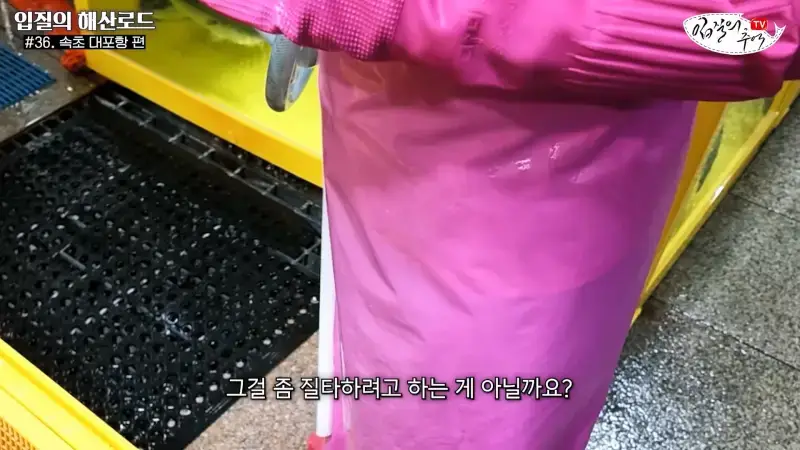 관광지 수산시장에서 _대게 먹고 가라_해서 믿고 맡겼더니(입질의 해산로드 #.36 속초 대포항 편)_20260922_210301.939.jpg