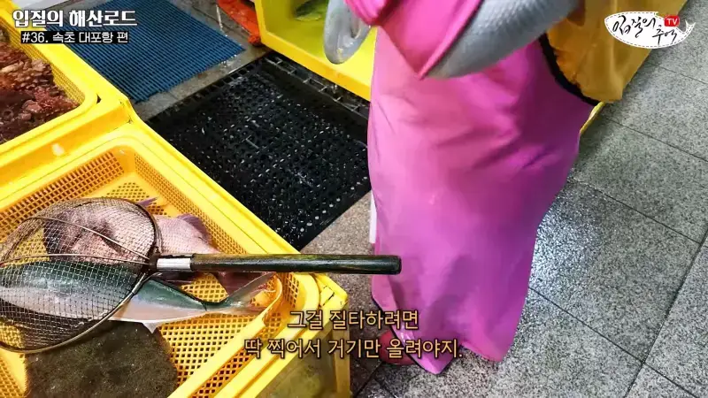 관광지 수산시장에서 _대게 먹고 가라_해서 믿고 맡겼더니(입질의 해산로드 #.36 속초 대포항 편)_20260922_210311.892.jpg