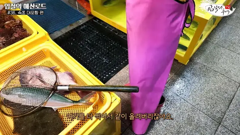 관광지 수산시장에서 _대게 먹고 가라_해서 믿고 맡겼더니(입질의 해산로드 #.36 속초 대포항 편)_20260922_210315.436.jpg