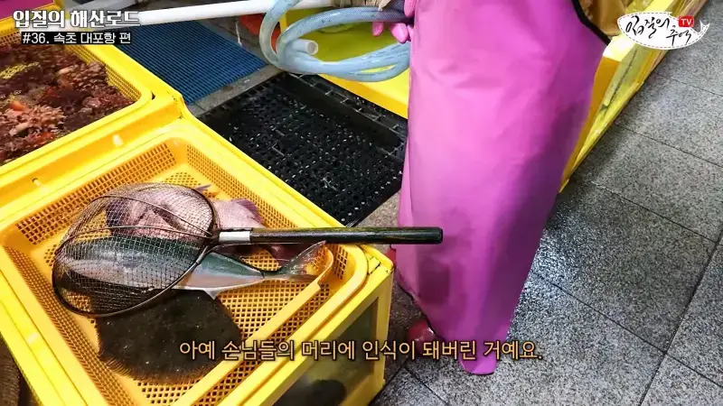 관광지 수산시장에서 _대게 먹고 가라_해서 믿고 맡겼더니(입질의 해산로드 #.36 속초 대포항 편)_20260922_210327.571.jpg
