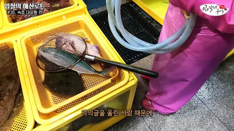 관광지 수산시장에서 _대게 먹고 가라_해서 믿고 맡겼더니(입질의 해산로드 #.36 속초 대포항 편)_20260922_210339.523.jpg