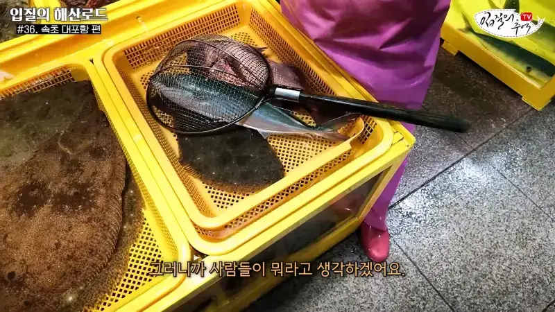 관광지 수산시장에서 _대게 먹고 가라_해서 믿고 맡겼더니(입질의 해산로드 #.36 속초 대포항 편)_20260922_210341.939.jpg