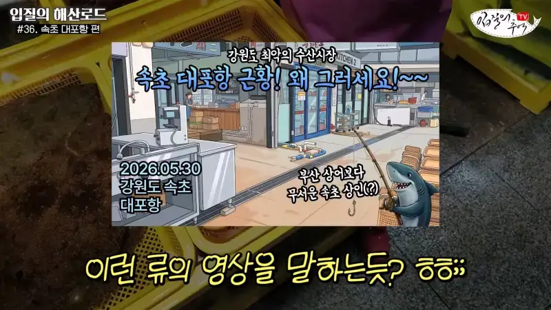 관광지 수산시장에서 _대게 먹고 가라_해서 믿고 맡겼더니(입질의 해산로드 #.36 속초 대포항 편)_20260922_210344.867.jpg