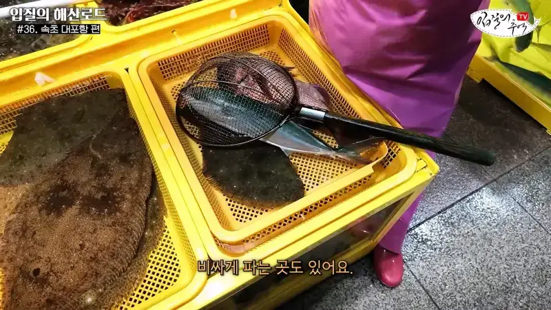 관광지 수산시장에서 _대게 먹고 가라_해서 믿고 맡겼더니(입질의 해산로드 #.36 속초 대포항 편)_20260922_210348.220.jpg