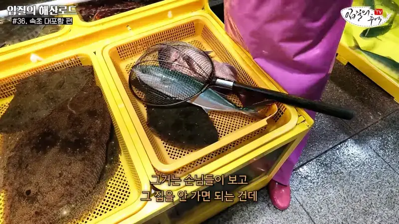 관광지 수산시장에서 _대게 먹고 가라_해서 믿고 맡겼더니(입질의 해산로드 #.36 속초 대포항 편)_20260922_210352.595.jpg
