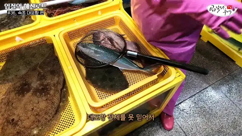 관광지 수산시장에서 _대게 먹고 가라_해서 믿고 맡겼더니(입질의 해산로드 #.36 속초 대포항 편)_20260922_210355.603.jpg