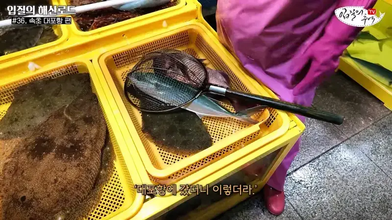 관광지 수산시장에서 _대게 먹고 가라_해서 믿고 맡겼더니(입질의 해산로드 #.36 속초 대포항 편)_20260922_210358.780.jpg
