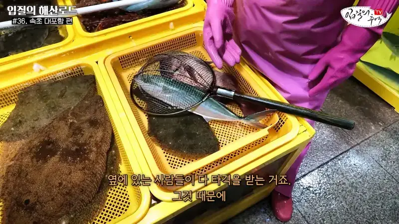 관광지 수산시장에서 _대게 먹고 가라_해서 믿고 맡겼더니(입질의 해산로드 #.36 속초 대포항 편)_20260922_210401.835.jpg
