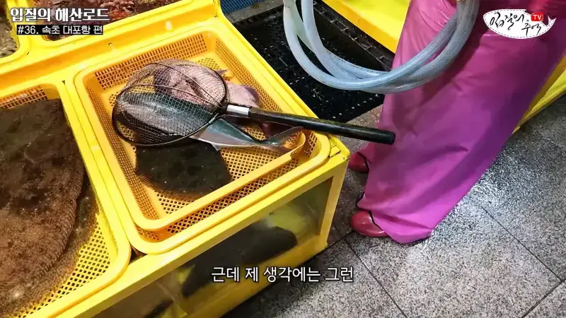 관광지 수산시장에서 _대게 먹고 가라_해서 믿고 맡겼더니(입질의 해산로드 #.36 속초 대포항 편)_20260922_210406.220.jpg