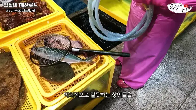 관광지 수산시장에서 _대게 먹고 가라_해서 믿고 맡겼더니(입질의 해산로드 #.36 속초 대포항 편)_20260922_210407.755.jpg