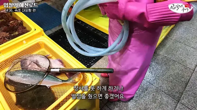 관광지 수산시장에서 _대게 먹고 가라_해서 믿고 맡겼더니(입질의 해산로드 #.36 속초 대포항 편)_20260922_210412.779.jpg