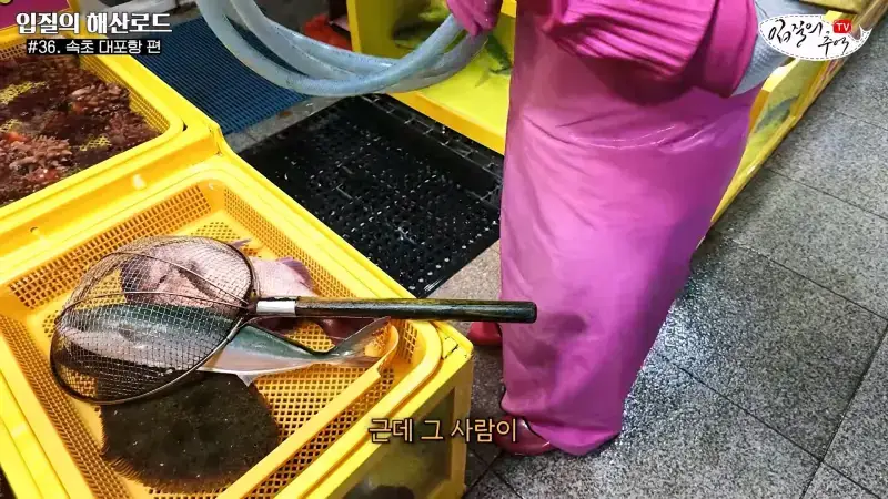 관광지 수산시장에서 _대게 먹고 가라_해서 믿고 맡겼더니(입질의 해산로드 #.36 속초 대포항 편)_20260922_210415.084.jpg