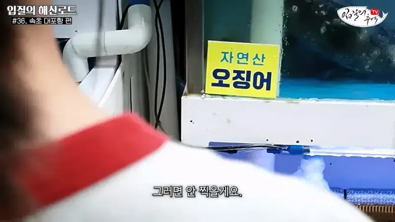 관광지 수산시장에서 _대게 먹고 가라_해서 믿고 맡겼더니(입질의 해산로드 #.36 속초 대포항 편)_20260922_210111.427.jpg