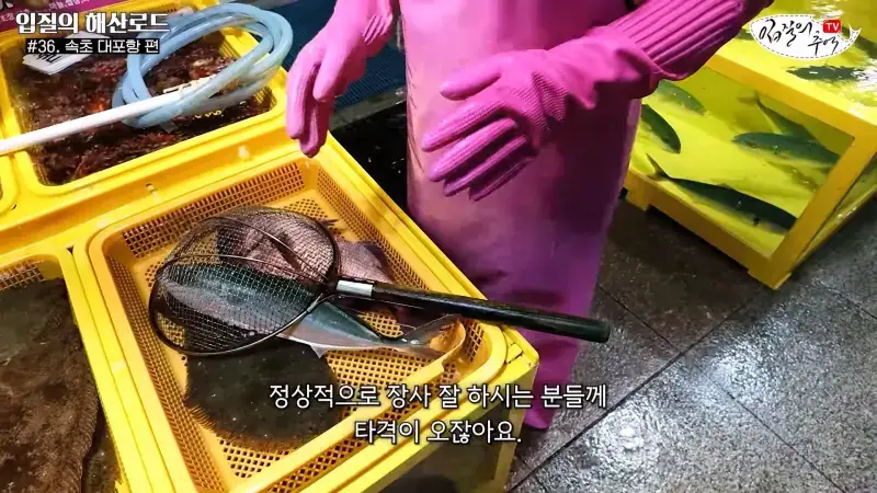 관광지 수산시장에서 _대게 먹고 가라_해서 믿고 맡겼더니(입질의 해산로드 #.36 속초 대포항 편)_20260922_210424.500.jpg