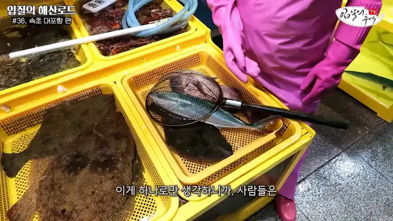 관광지 수산시장에서 _대게 먹고 가라_해서 믿고 맡겼더니(입질의 해산로드 #.36 속초 대포항 편)_20260922_210430.100.jpg