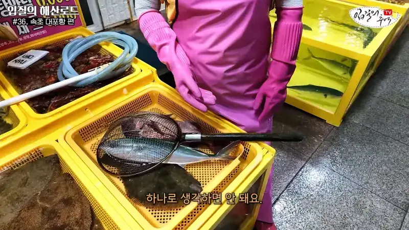 관광지 수산시장에서 _대게 먹고 가라_해서 믿고 맡겼더니(입질의 해산로드 #.36 속초 대포항 편)_20260922_210433.451.jpg