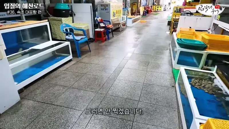 관광지 수산시장에서 _대게 먹고 가라_해서 믿고 맡겼더니(입질의 해산로드 #.36 속초 대포항 편)_20260922_210114.867.jpg