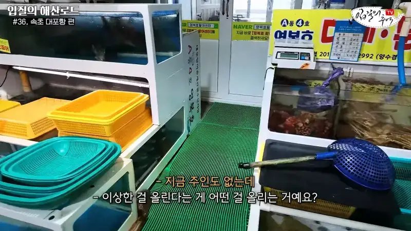 관광지 수산시장에서 _대게 먹고 가라_해서 믿고 맡겼더니(입질의 해산로드 #.36 속초 대포항 편)_20260922_210122.731.jpg