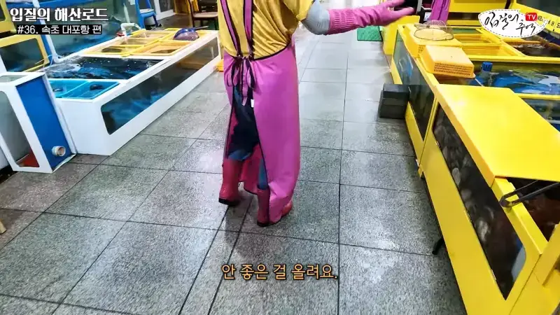 관광지 수산시장에서 _대게 먹고 가라_해서 믿고 맡겼더니(입질의 해산로드 #.36 속초 대포항 편)_20260922_210126.195.jpg