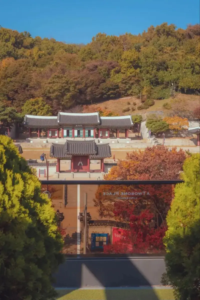 단풍뷰로 유명하다는 어느 투썸 지점의 내용을 보여주는 이미지 관련 이미지 2