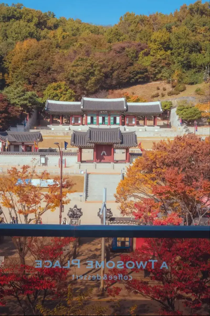 단풍뷰로 유명하다는 어느 투썸 지점의 내용을 보여주는 이미지 관련 이미지 3