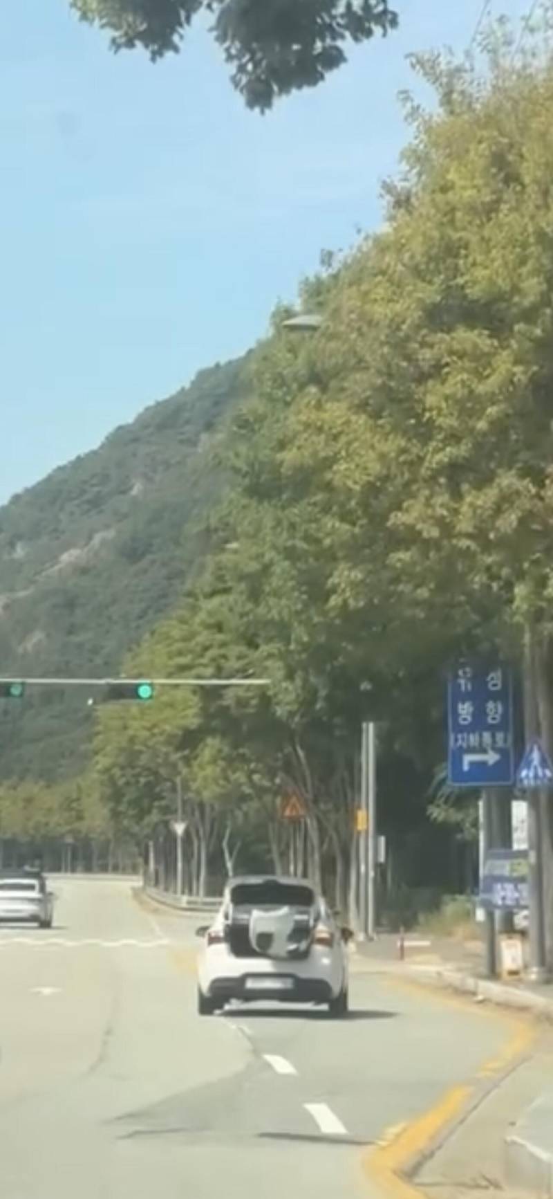 추석 연휴 도로 레전드 상황의 내용을 보여주는 이미지 관련 이미지 4