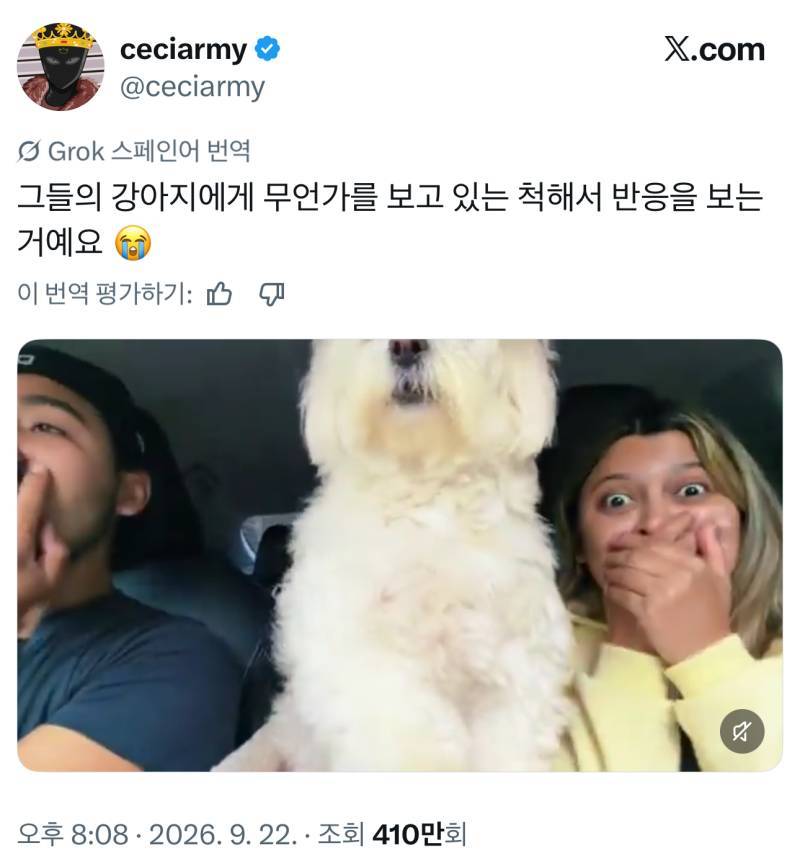 안 가겠다고 버티는 강아지 집 가게 만드는 법 (꿀팁?) 외의 내용을 보여주는 이미지