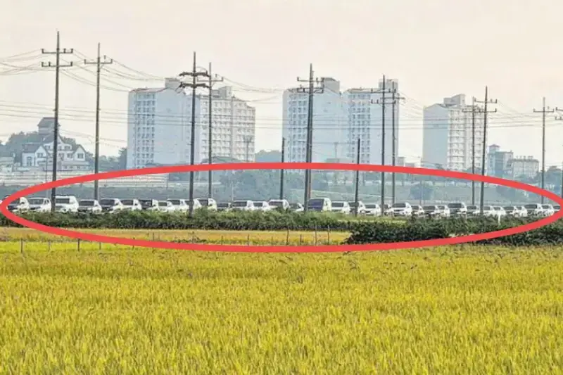2년전 추석 티맵 논두렁 사건의 내용을 보여주는 이미지 관련 이미지 3