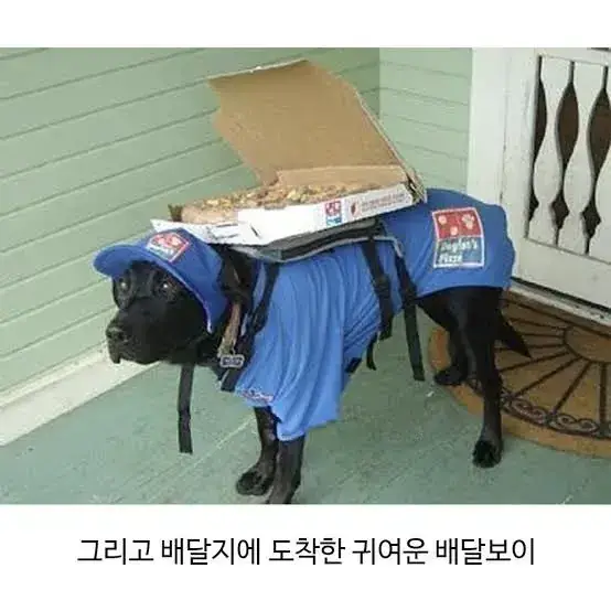 요청사항을 정확히 들어준 피자집의 내용을 보여주는 이미지 관련 이미지 2