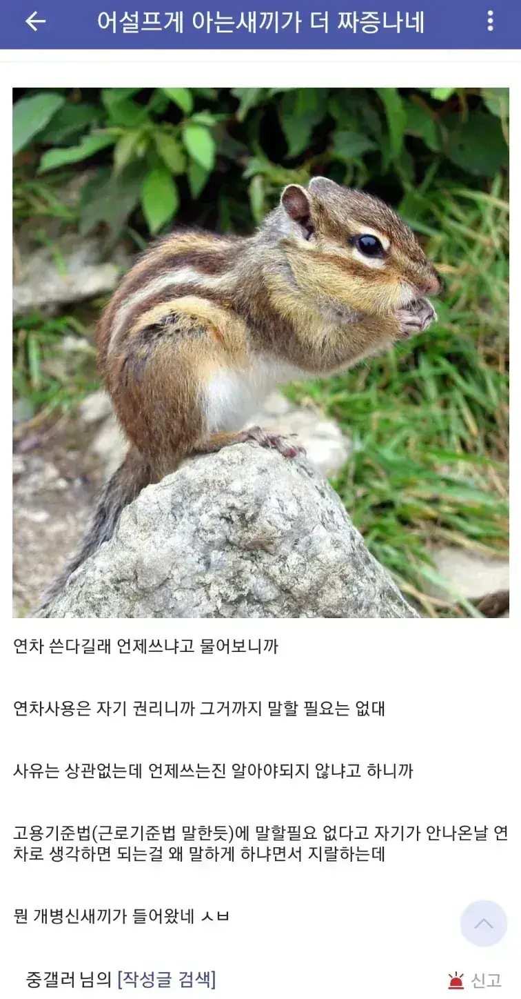 연차사용이 자유로워지니 생긴 부작용의 내용을 보여주는 이미지