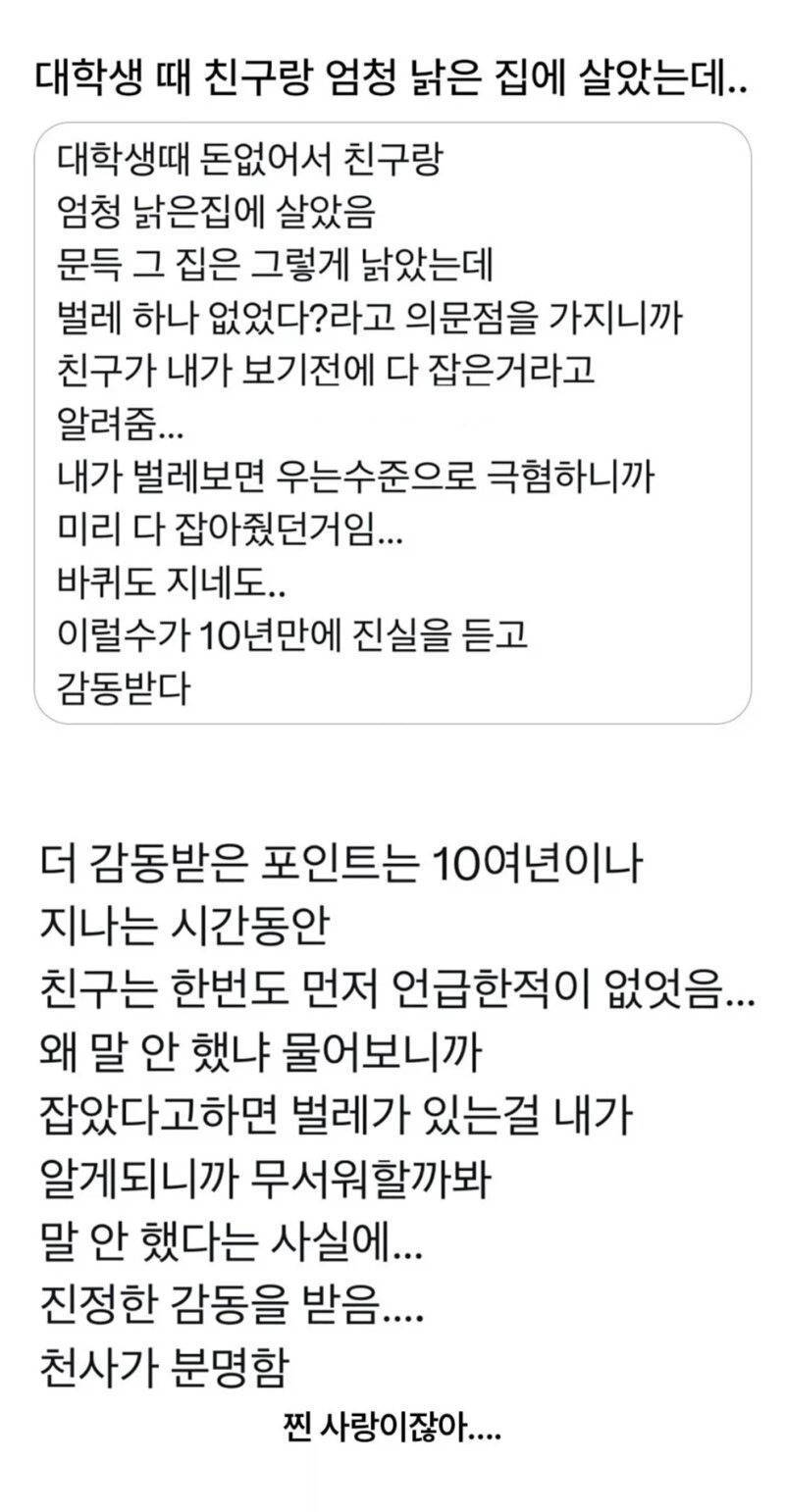 친구랑 낡은 집에 살았는데의 내용을 보여주는 이미지