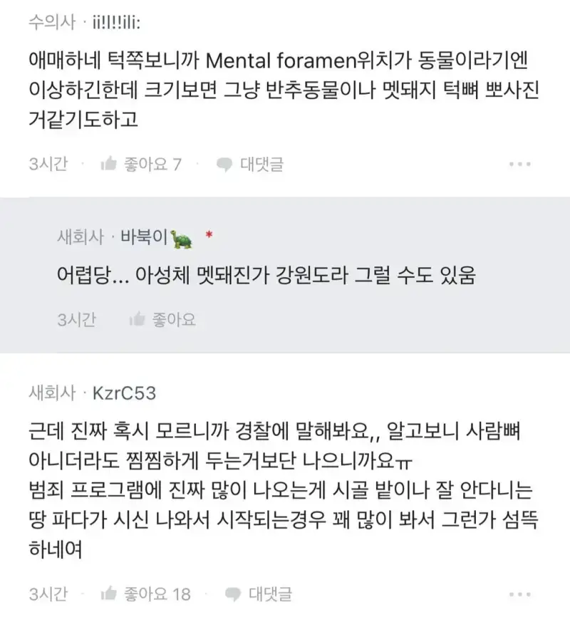 밭에서 이상한 뼈를 본 블라인 ㅎㄷ�의 내용을 보여주는 이미지 관련 이미지 5