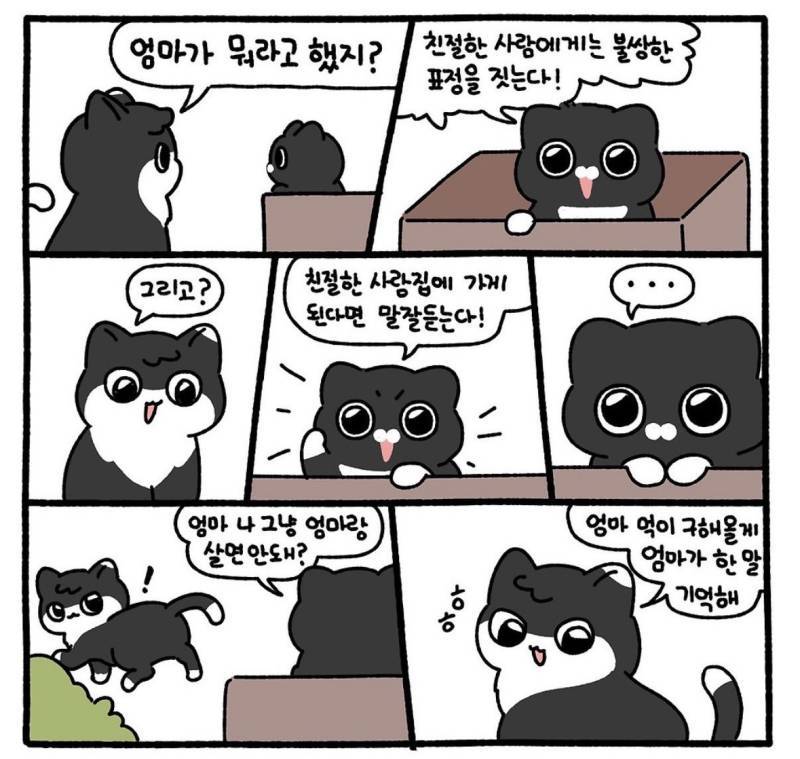 친절한 사람에게는 불쌍한 표정을 짓는다의 내용을 보여주는 이미지