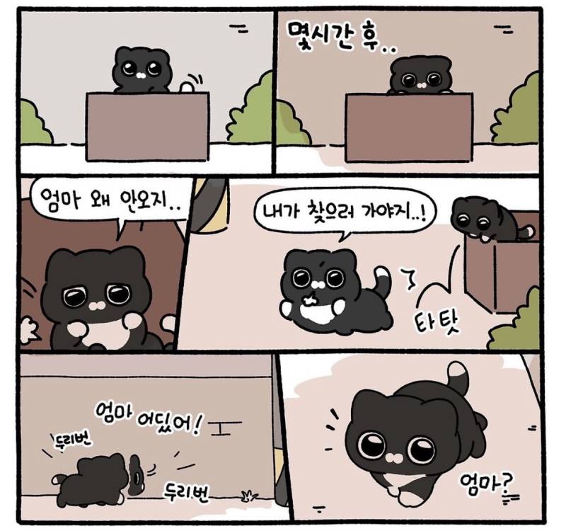 친절한 사람에게는 불쌍한 표정을 짓는다의 내용을 보여주는 이미지 관련 이미지 2