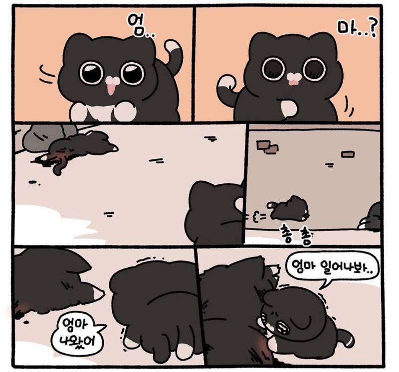 친절한 사람에게는 불쌍한 표정을 짓는다의 내용을 보여주는 이미지 관련 이미지 3