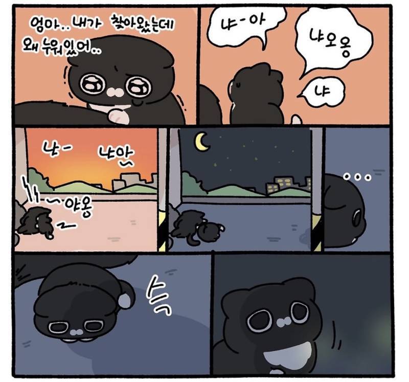친절한 사람에게는 불쌍한 표정을 짓는다의 내용을 보여주는 이미지 관련 이미지 4