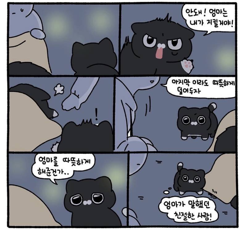 친절한 사람에게는 불쌍한 표정을 짓는다의 내용을 보여주는 이미지 관련 이미지 5