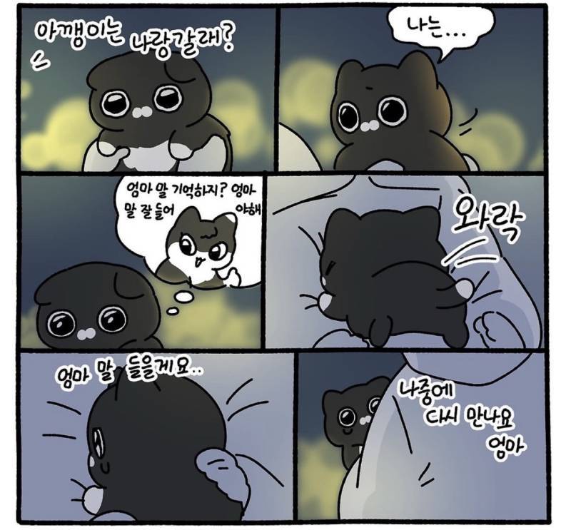친절한 사람에게는 불쌍한 표정을 짓는다의 내용을 보여주는 이미지 관련 이미지 6