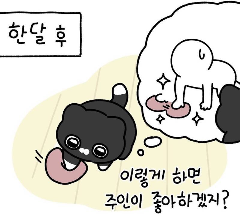 친절한 사람에게는 불쌍한 표정을 짓는다의 내용을 보여주는 이미지 관련 이미지 7