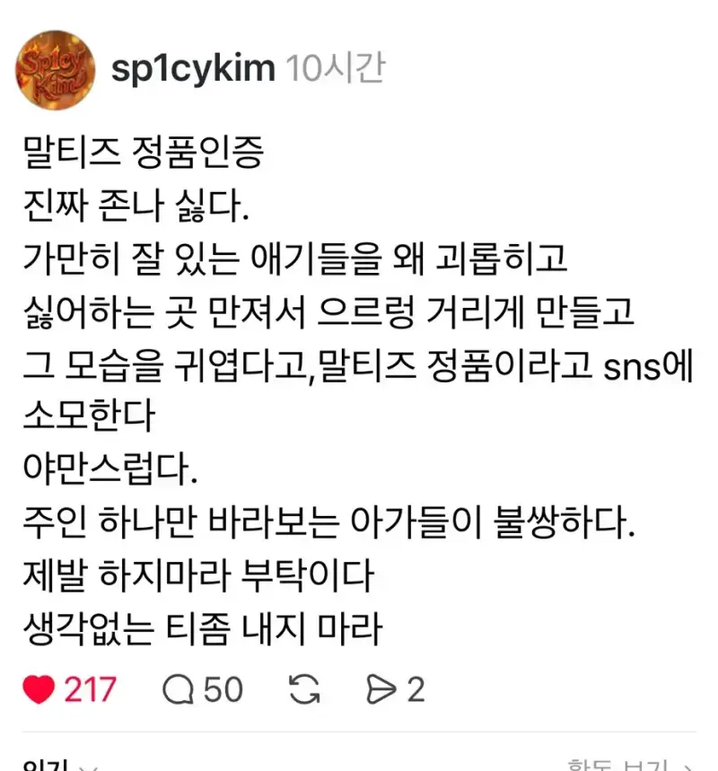 말티즈 정품인증 정말싫다 | 인스즈