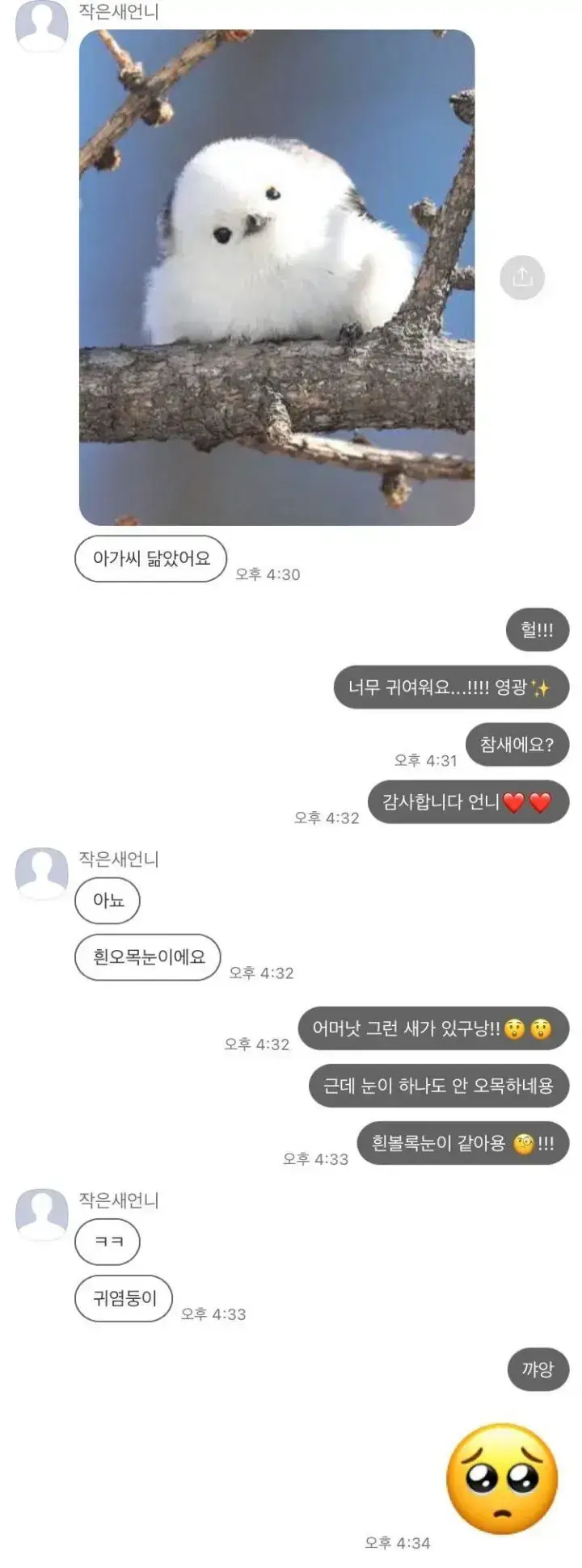 평소엔 지적인 새언니가 아가씨에게 보내는 카톡의 내용을 보여주는 이미지 관련 이미지 7