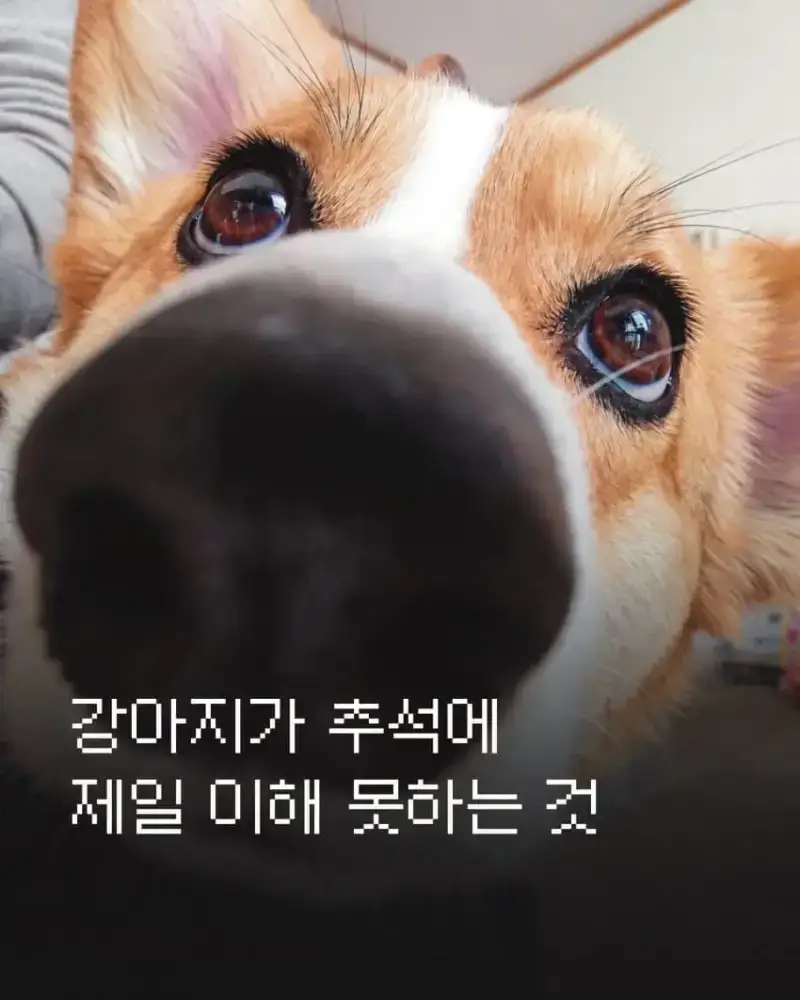 1790463795658857.webp