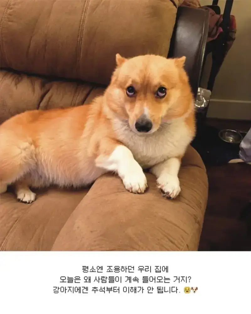 1790463795919539.webp